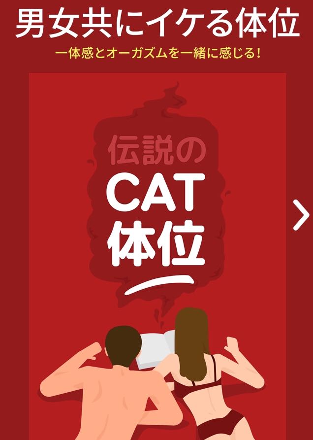 猫用ケージグッズ】取付簡単アイテムでひと工夫！愛猫のケージを快適に！