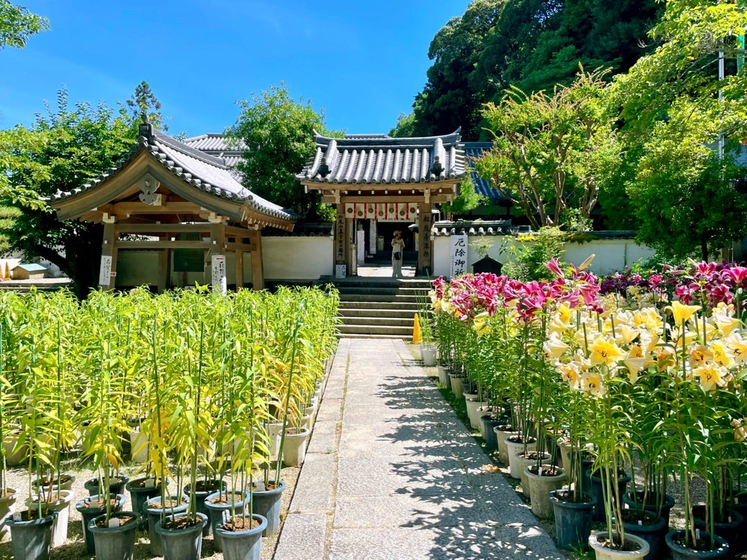 カサブランカ(郡山駅前・駅周辺/その他グルメ) | ホットペッパーグルメ