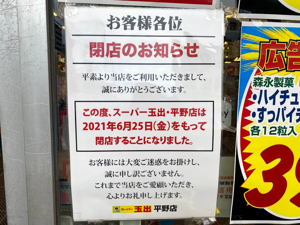 ハイチュヌスコクワ 初2令幼虫4頭セット | harukuwa