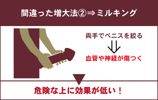 チントレ「ミルキング」は効果なし？正しいやり方と増大効果を解説！