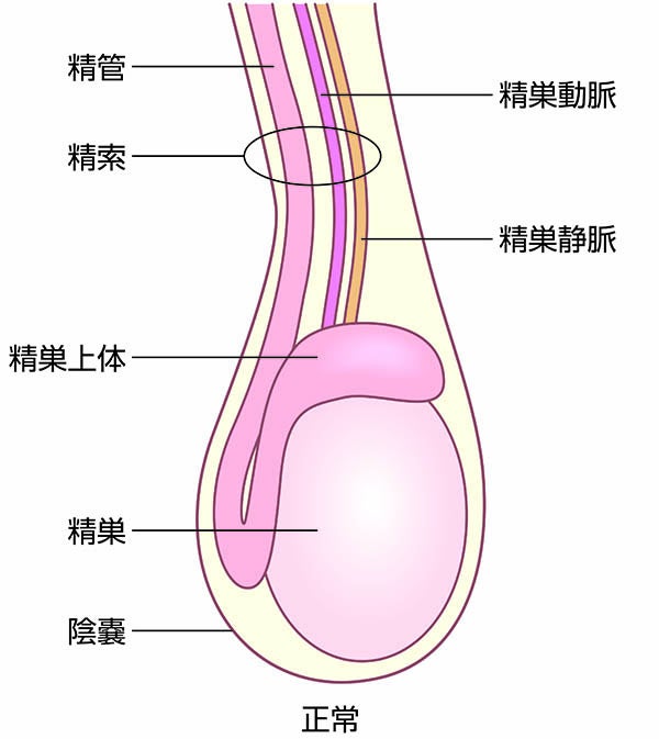 🍌, おなか&睾丸マッサージ, 残席わずか💨, 〜12月福岡レッスンのお知らせ〜, 【福岡/博多レッスン】定員各3名,