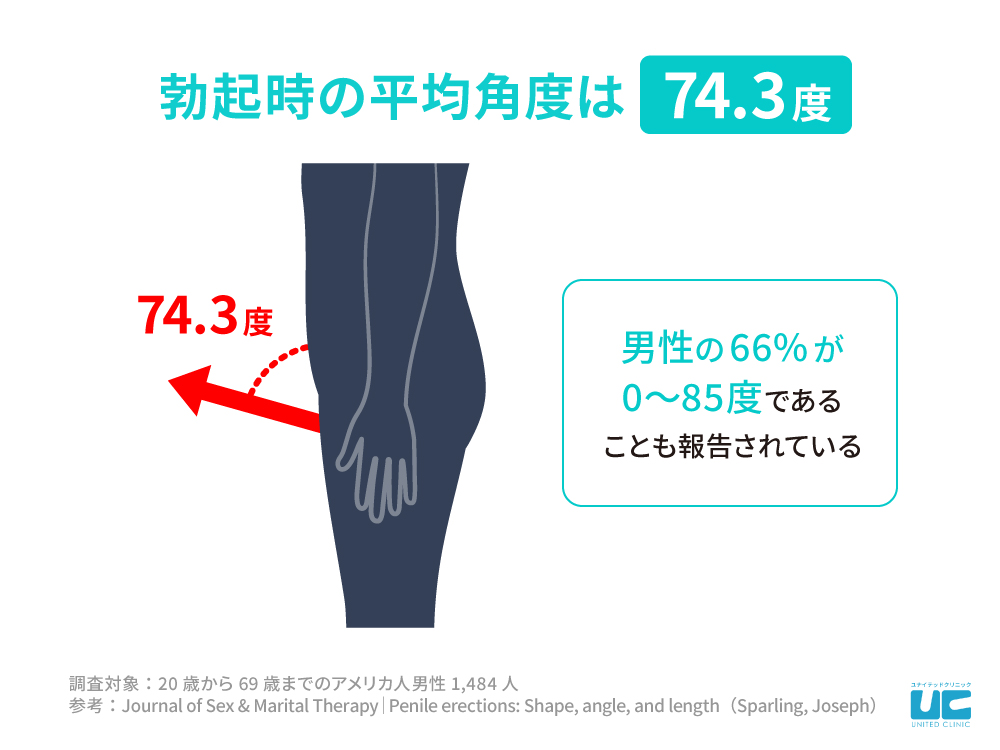 勃起とは？勃起の仕組みと勃起力低下の原因と対策を解説 - 藤東クリニックお悩みコラム