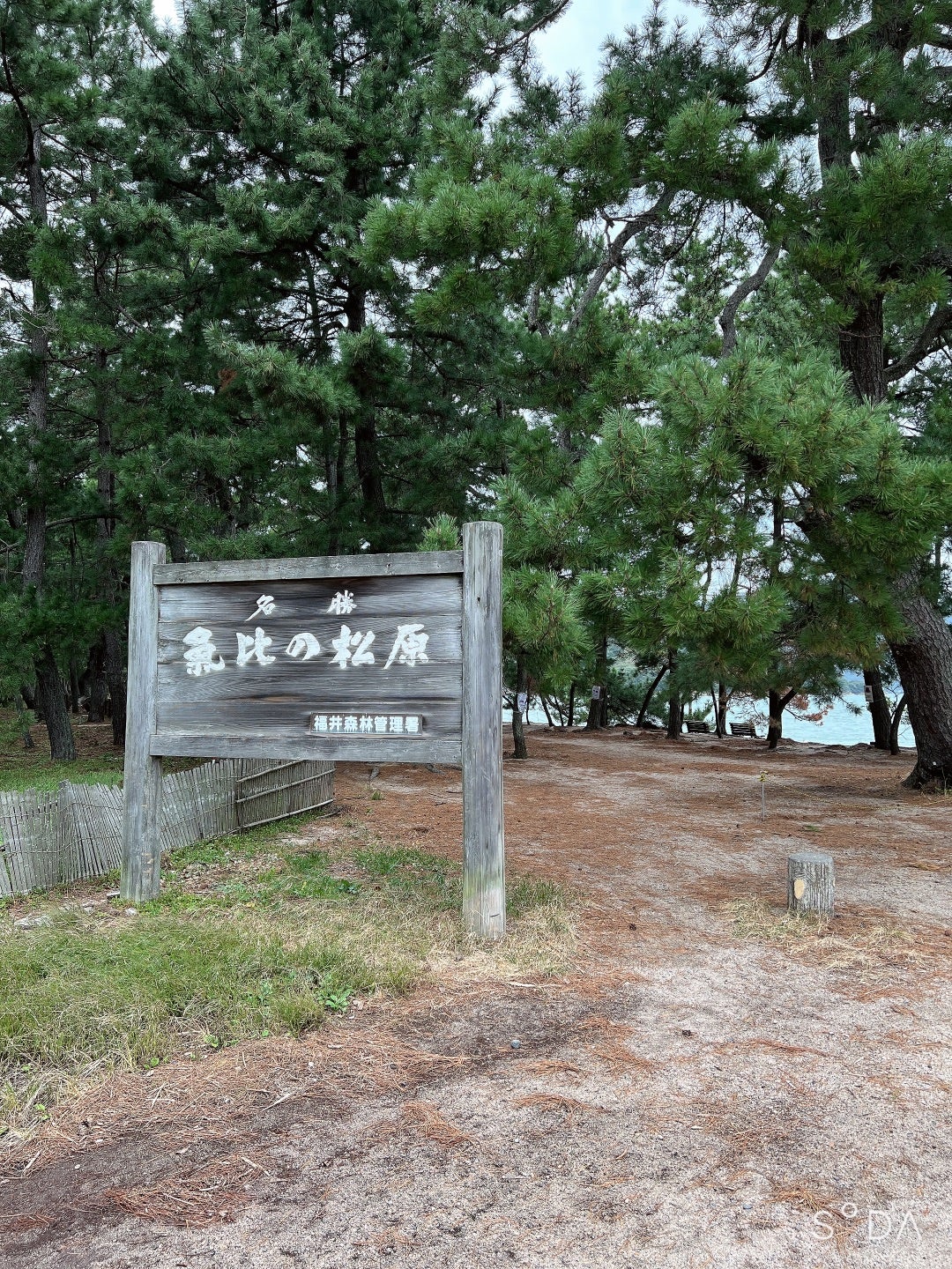 エステの仕事・求人 - 福井県 敦賀市｜求人ボックス