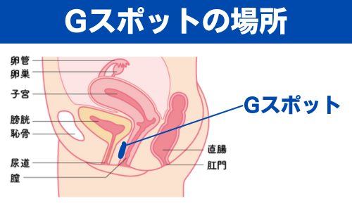 Amazon | 吸うやつ 強力 吸引バイブ