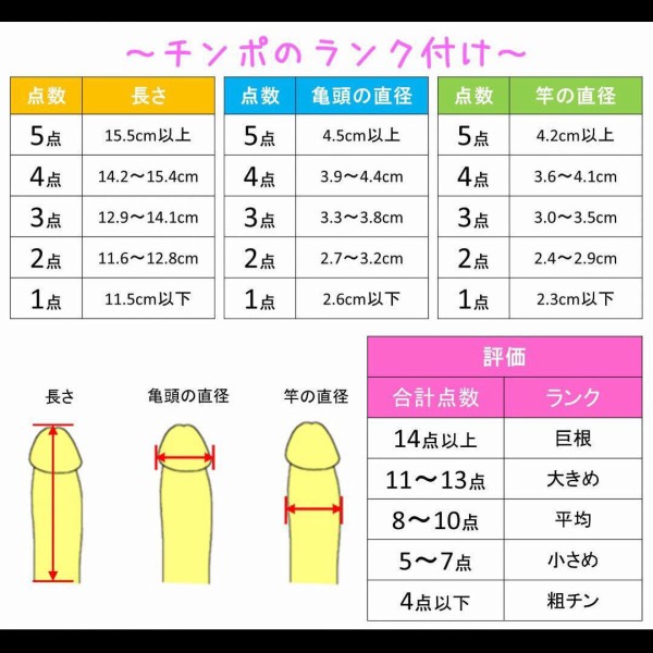 日本人のペニス、平均的サイズは13cm。女性からすると長さは関係ない｜あんしん通販コラム