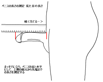 女性の方々に質問です。最大で13cmって小さいですか？ - Yahoo!知恵袋