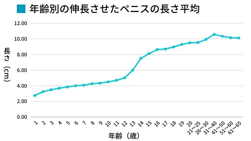 【ペニス図鑑】正しい測り方と硬さ・種類・長さ！