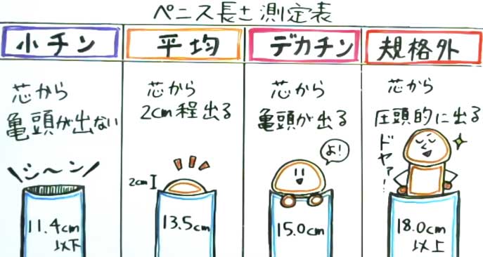 短小包茎とは！短小は何センチから？日本人の平均サイズや治療法 - アトムクリニック