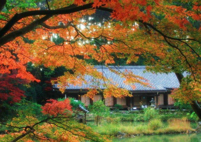 京都の紅葉を穴場スポットでじっくり見たい！空いている美しい紅葉が見られる場所は？|caedeKyoto[カエデ京都] 紅葉と伝統美を引き継ぐバッグ