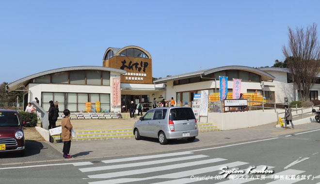 あんずの里（福津市）で、満開見頃のあんずの花を見て、神湊でランチ | 福岡おでかけブログ |