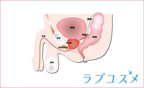 Amazon | エネマグラ