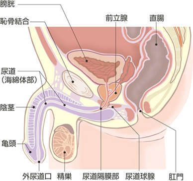 オ○ニーで最高に気持ちいい射精をする方法♡