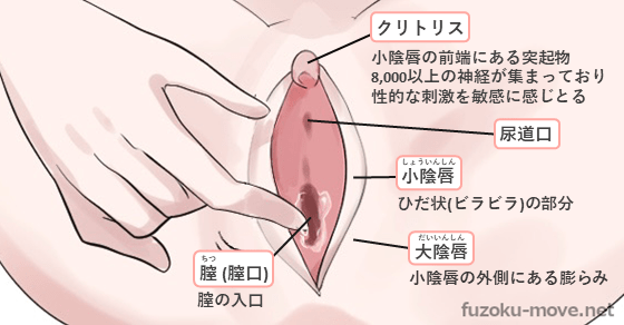 上手いと思われるクンニの吸い方を伝授！女性がすぐイってしまうやり方を紹介｜駅ちか！風俗雑記帳