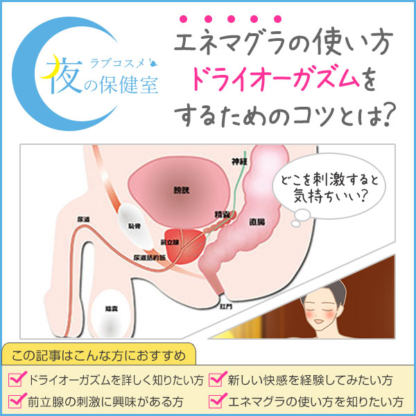 味見：すべてが美しいカブトエンマコガネ Onthophagus mouhoti は味までも良い。 |