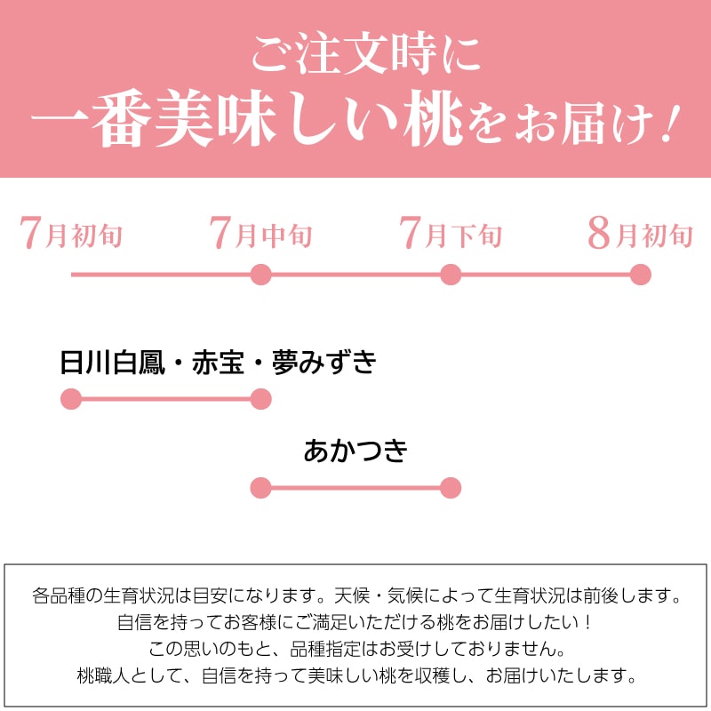 桃 2025年 先行予約 ご家庭用 岡山