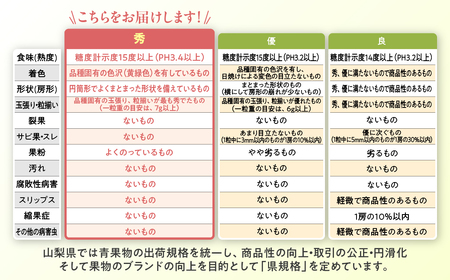 日本のセクシーグループ「恵比寿マスカッツ」来年解散_中国網_日本語