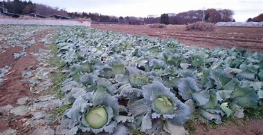 福岡共同公文書館ブログ -