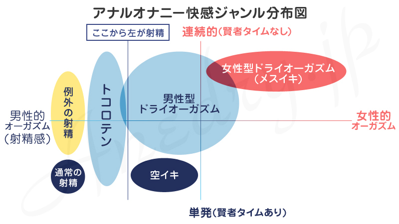 トコロテンとは？【アナニーでトコロテンをする方法】 | アネドラ