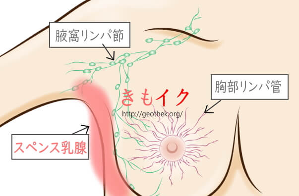 町田のブライダルエステサロン [ブライダルエステナビ]