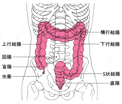 新作【美波こづえ】S字ヌキ・浣腸アナルSEX・アナルぽっかり 特大アナルの拡張、S字結腸ヌキ達成で完全挿入、アナルぽっかりに初S字イキ、垂れ流し浣腸アナルSEX  | アナルと浣腸動画フェチ