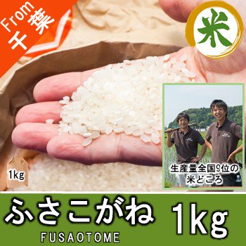 令和5年 ふさこがね 5kg