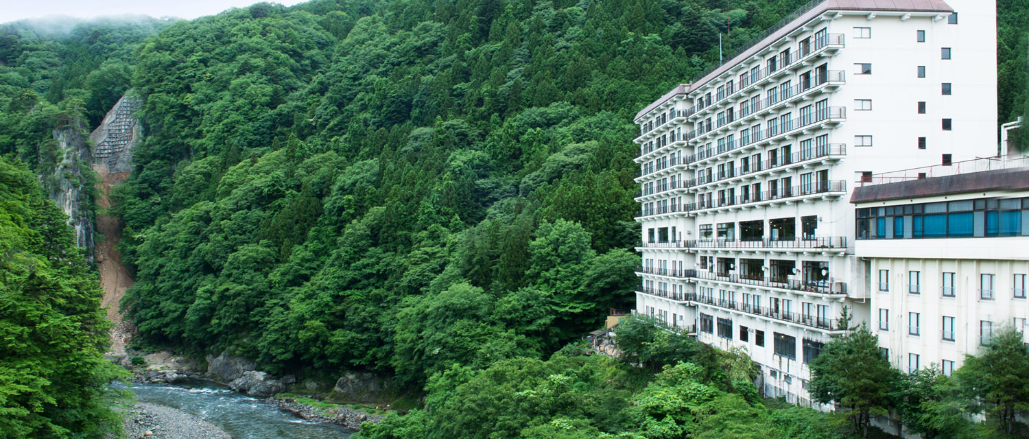 ふれあい橋」と鬼怒川暮色』鬼怒川温泉(栃木県)の旅行記・ブログ by にゃんこ姫さん【フォートラベル】