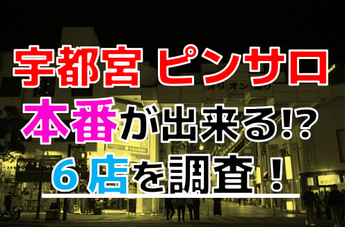 風俗Xファイル／宇都宮で一発屋の捜査をせよ