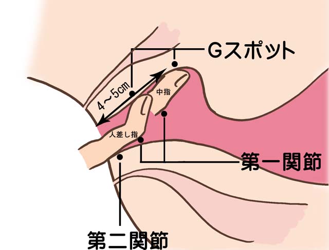 セックスで潮を吹けるようになる♡ 「8つのステップ」