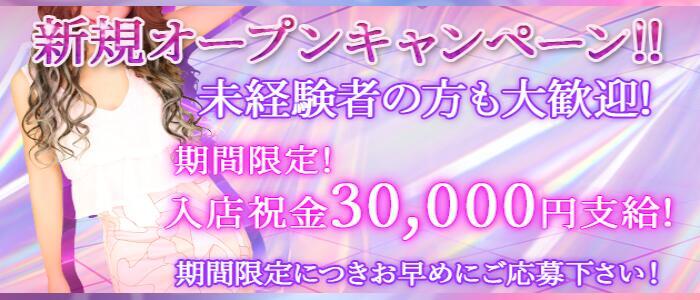 セクキャバの仕事内容から指名をとるコツまでわかりやすく解説☆ | 風俗求人まとめビガーネット関西