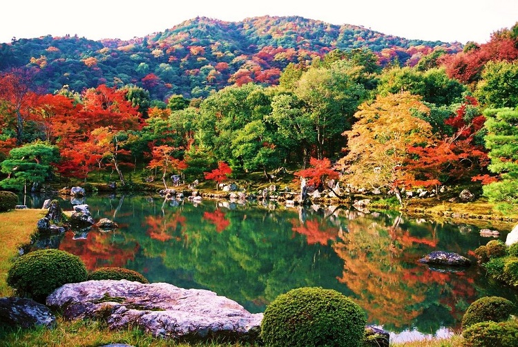 知る人ぞ知る！京都紅葉の穴場 ～御所周辺の隠れた名所へ～ | 京都旅屋