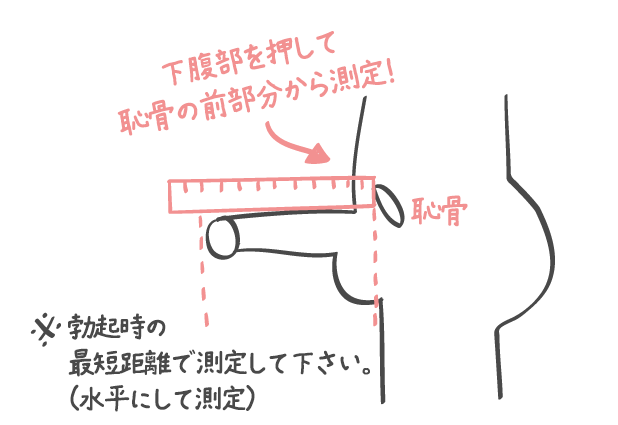 ペニスサイズ測定第23回目：良かった！伸びてた！ | ペニス増大