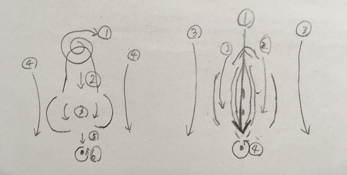 高齢者の陰部洗浄 | 動画でわかる看護技術