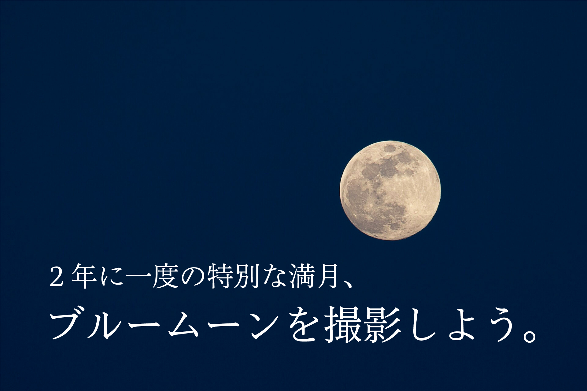 白鶴酒造 BLUE MOON ブルームーン