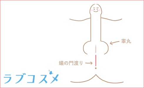 無料】普段のエッチ＋α小テク（フェザータッチ/仙骨マッサージ/スペンス乳腺） | Tips