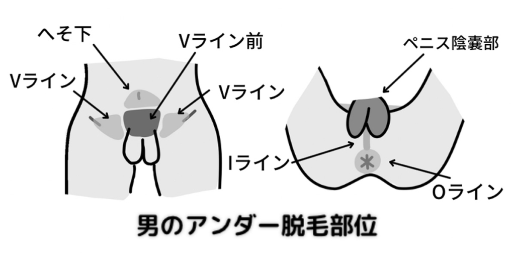 陰毛を処理するメリットは？男性におすすめの正しい剃毛・切り方をご紹介！ | メンズ脱毛百科事典