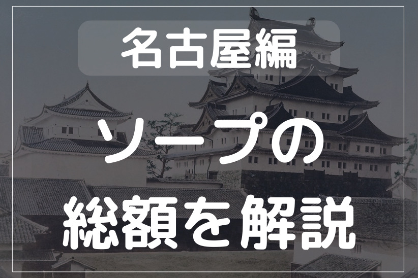 愛知】名古屋ソープおすすめ人気ランキング3選【2022年最新】