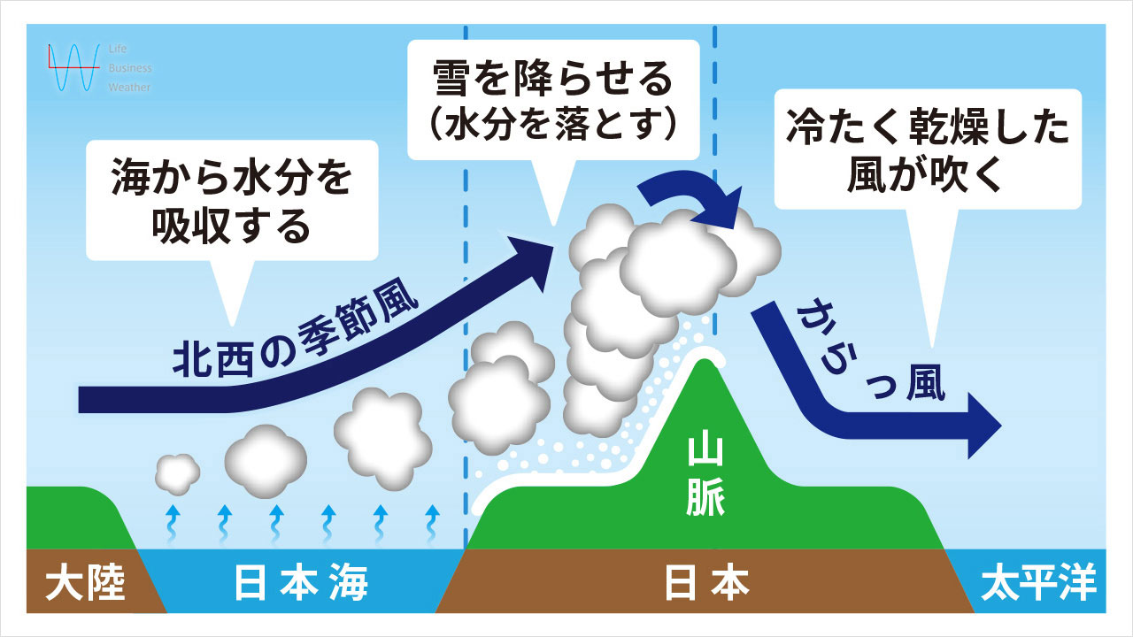 筆文字 明日は明日の風が吹くイラスト - No: