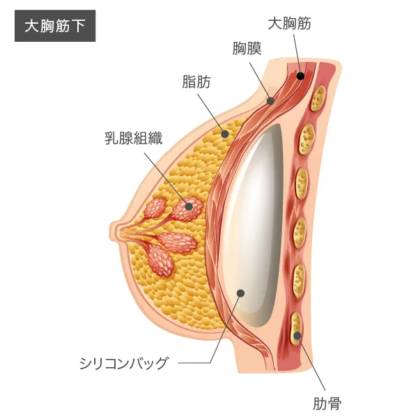 アナタは知ってる？バストの基礎知識とエイジング対策。アナタは知ってる？バストの基礎知識とエイジング対策。