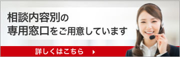 第3新東京市 - Wikipedia