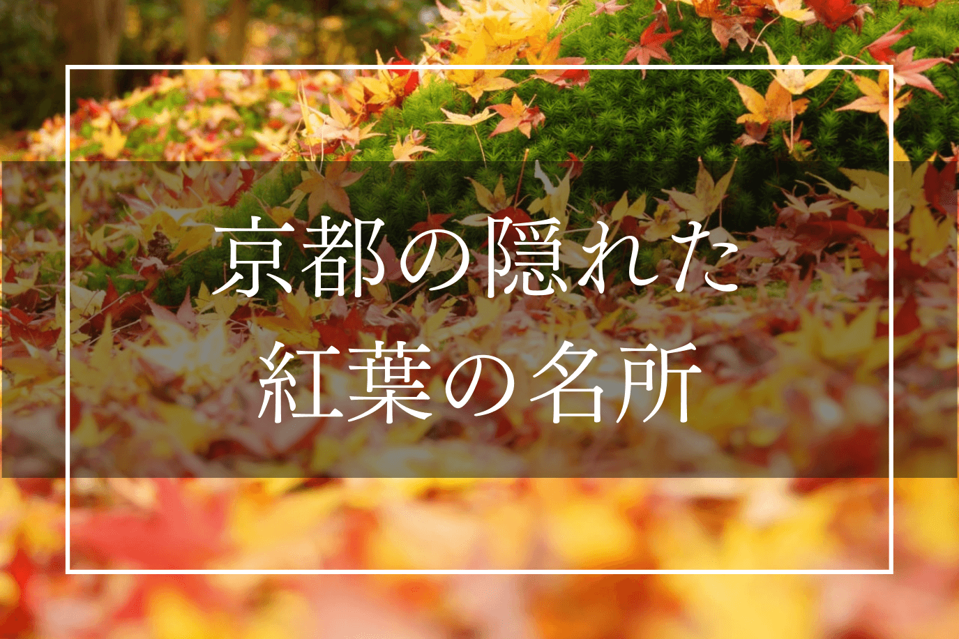 京都を満喫！夜間拝観で紅葉を楽しめる穴場名所８選|caedeKyoto[カエデ京都] 紅葉と伝統美を引き継ぐバッグ