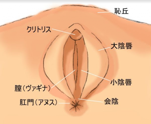 デカクリ女社長【無修正】日本の浴衣を一枚ずつ脱がせるたびに、あそこの濡れが止まらない・・・ - XVIDEOS.COM