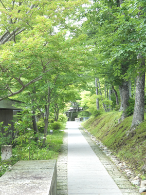 那須「二期倶楽部」創業者北山ひとみの”小さな物語“ ―初の著書「人分けの小道」出版 | 株式会社ニキシモのプレスリリース