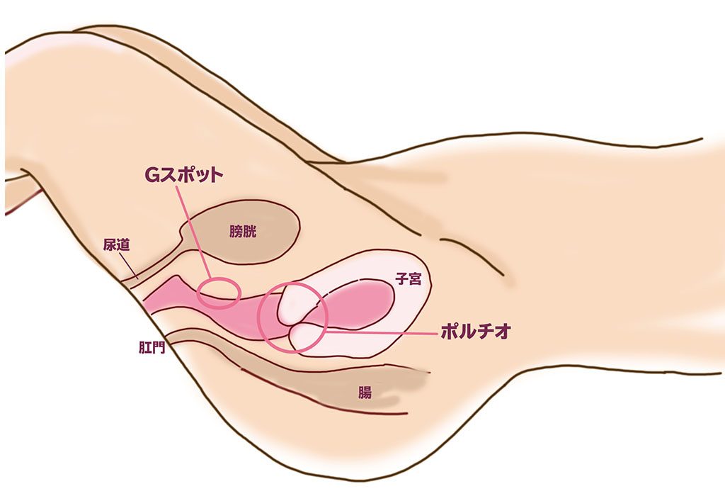 2.5Dガールフレンドまんぐり返しVer. 大宗たゆゆ イラスト：v-mag｜正常位で挿入しやすいエアーダッチ