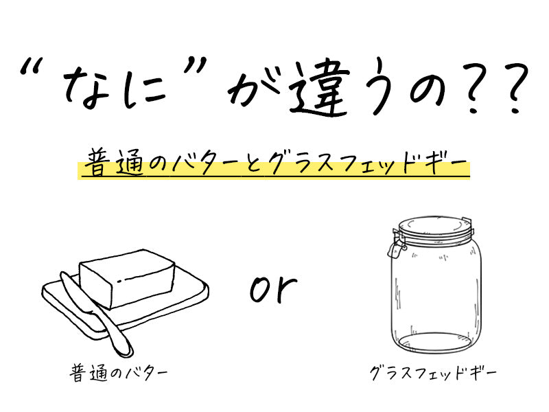 ギーで太る理由を徹底解説｜正しく使わないと逆効果になってしまう。