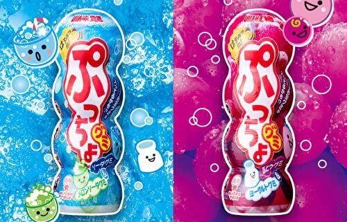 ぷっちょオナニーの気持ちいいやり方｜自作アダルトグッズでセフル2穴挿入も実現