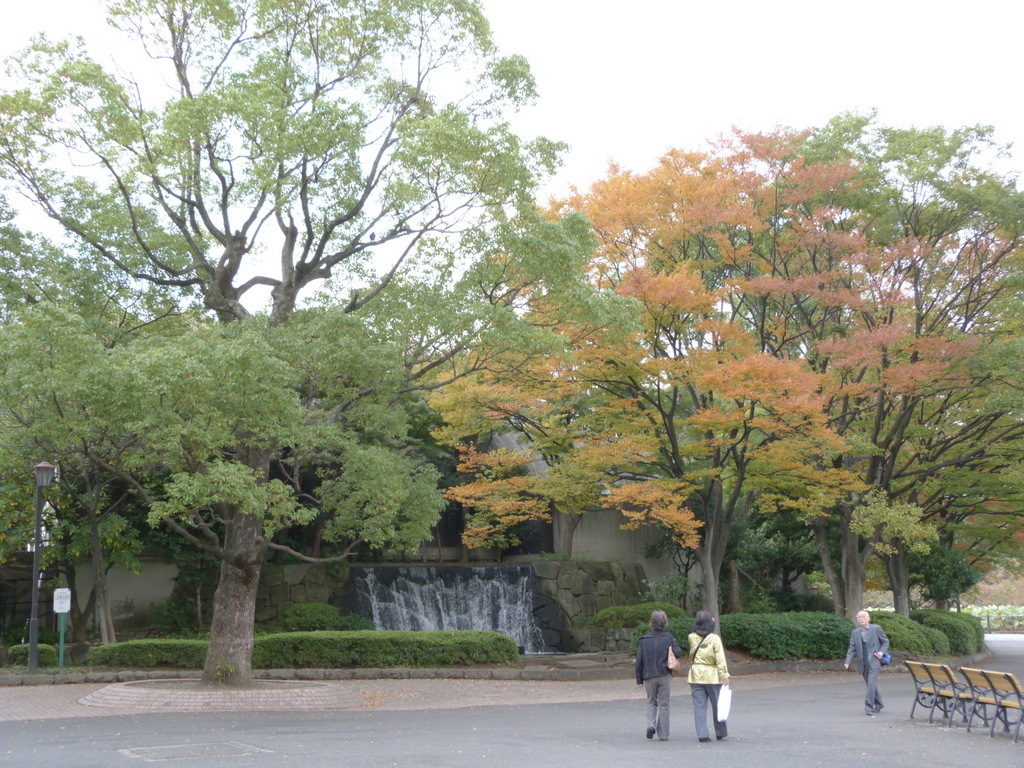 上野ファーム2024/9/17】🎃ハロウィン北口選手の・・雨上がりの爽やかな園内と秋の花々、虫達の声。 - YouTube