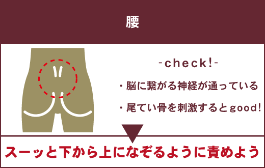 性感帯とは？女性の感じやすい場所や開発法 - 夜の保健室