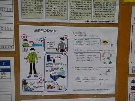 6月新型コロナウイルスの予防および拡散防止対策について ｜ デリヘル開業｜フランチャイズオーナー募集