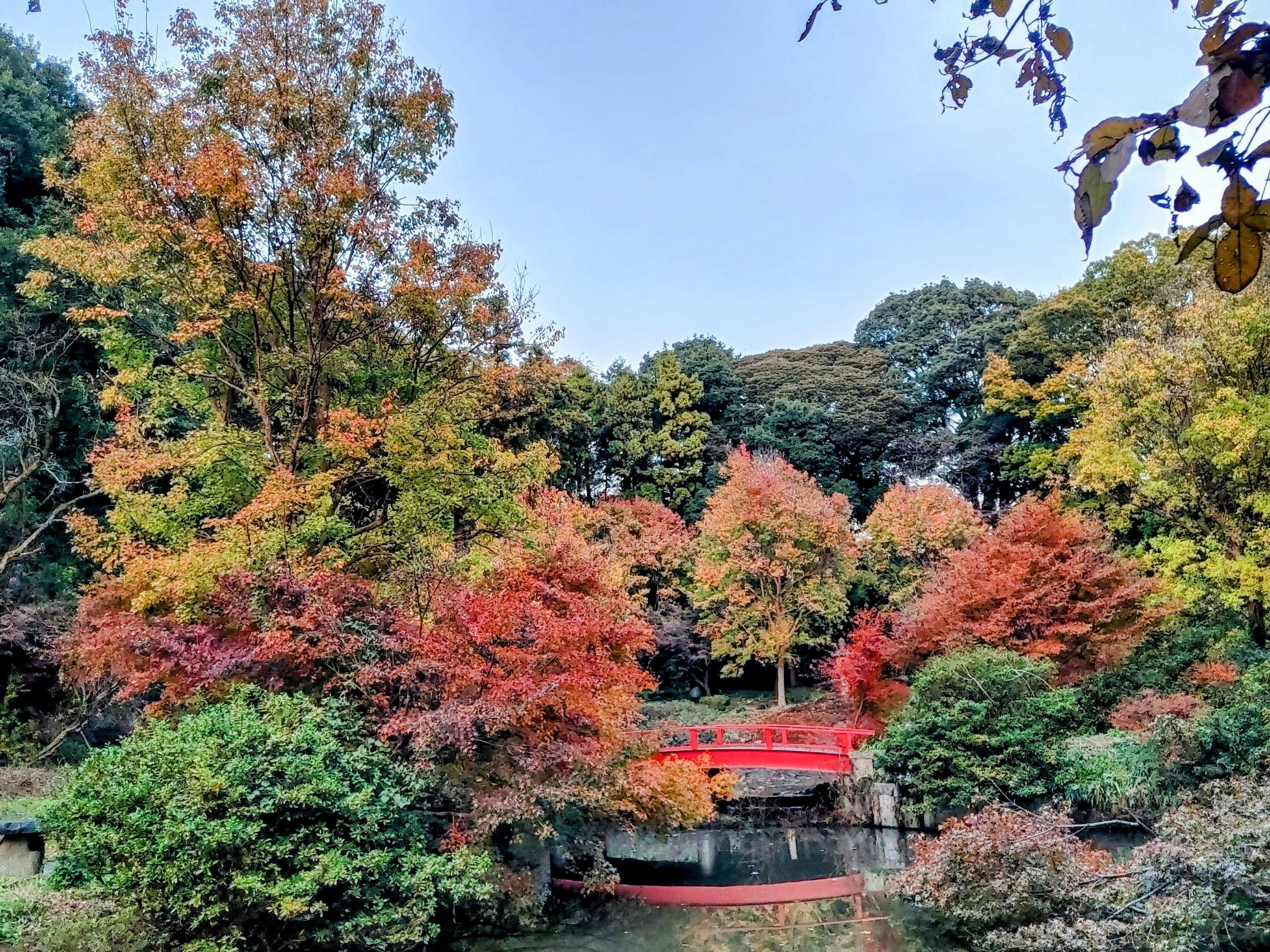 園内研修（６月）｜ブログ｜社会福祉法人同仁会