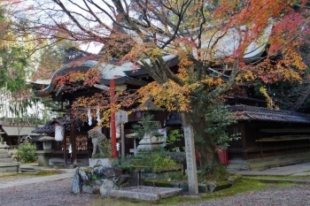 京都の紅葉“穴場”スポット♪知る人ぞ知る隠れた紅葉をゆったり愛でる | とっておきの京都プロジェクト